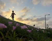 Silhouette of a person walking on a grassy hill with pink flowers at sunset.