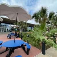 The outside of campus in Fall 2023. The picture shows a blue table and the palm trees and one building on campus.