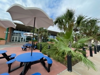 The outside of campus in Fall 2023. The picture shows a blue table and the palm trees and one building on campus.