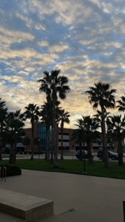 A photograph of the Bayside Parking garage on campus Fall 2023. There is palm trees in the photo and the present day parking garage 