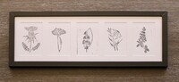 Five monochrome prints framed in a horizontal orientation. The five matted prints depict a variety of flowers.